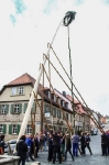 Maibaumaufstellen_5